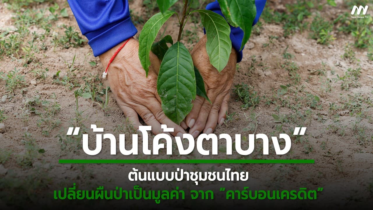 “บ้านโค้งตาบาง” ต้นแบบป่าชุมชนไทย เปลี่ยนผืนป่าเป็นมูลค่า จาก “คาร์บอนเครดิต” | Next News