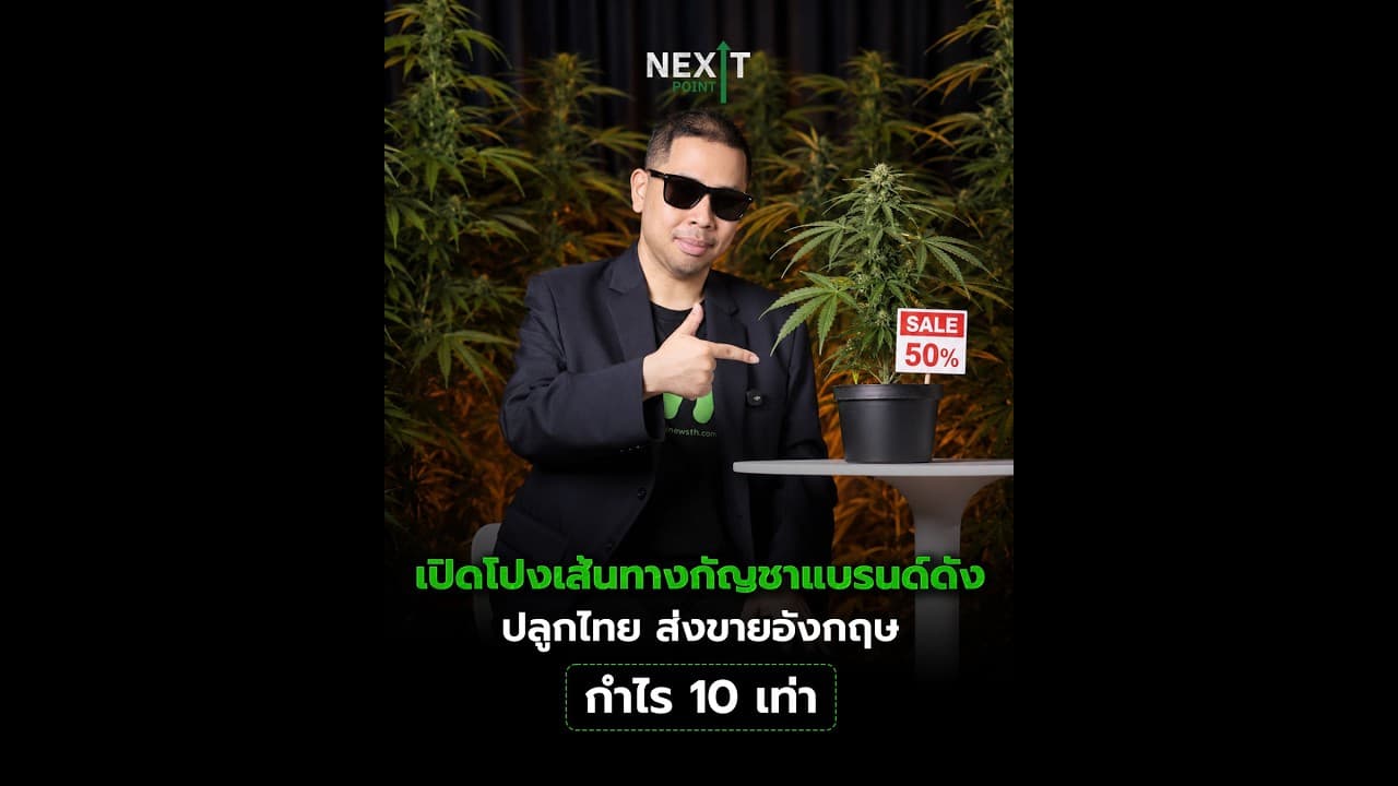 เปิดโปงเส้นทางกัญชาแบรนด์ดัง ปลูกไทย ส่งขายอังกฤษ กำไร 10 เท่า | Next Point