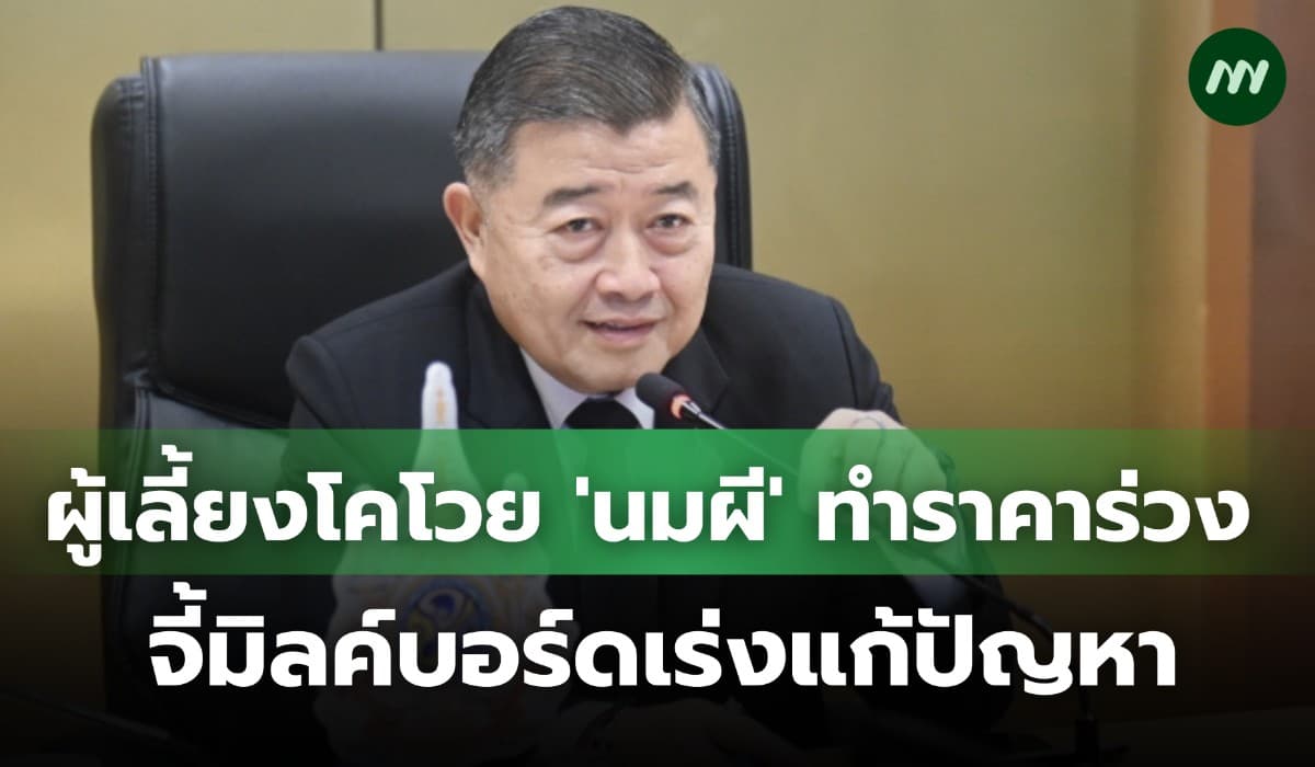 ผู้เลี้ยงโคนมโวย 'นมผี' นอกระบบกดราคาร่วง จี้มิลค์บอร์ดเร่งแก้ปัญหา