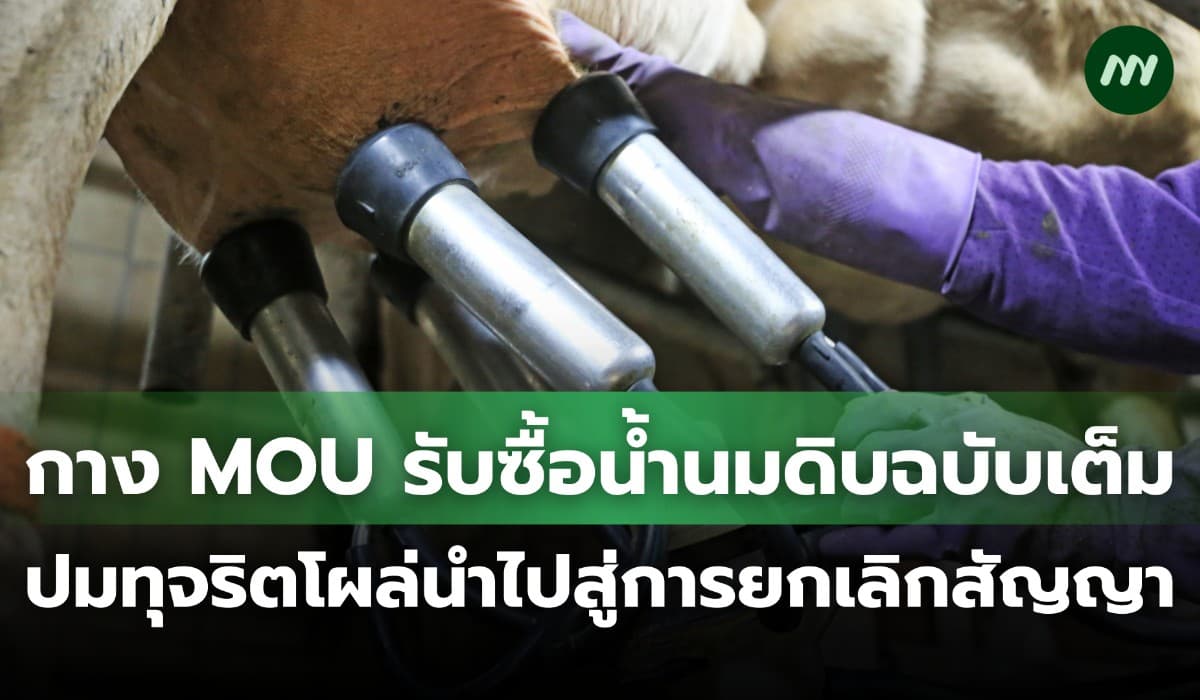 กาง MOU รับซื้อน้ำนมดิบฉบับเต็ม พบทุจริตโผล่นำไปสู่การยกเลิกสัญญา