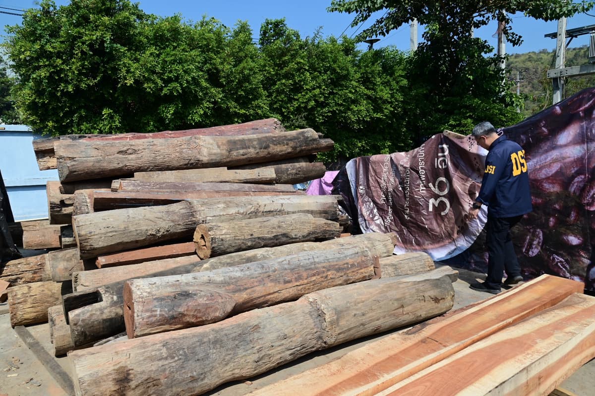 จับแก๊งค้าไม้เถื่อนมูลค่า 2,500 ล้าน เตรียมส่งออกขายจีน-เวียดนาม