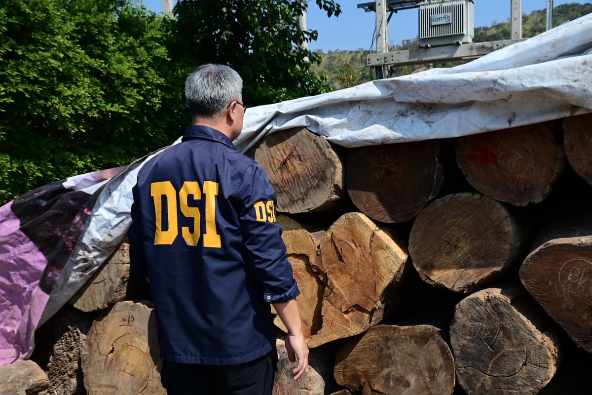 จับแก๊งค้าไม้เถื่อนมูลค่า 2,500 ล้าน เตรียมส่งออกขายจีน-เวียดนาม