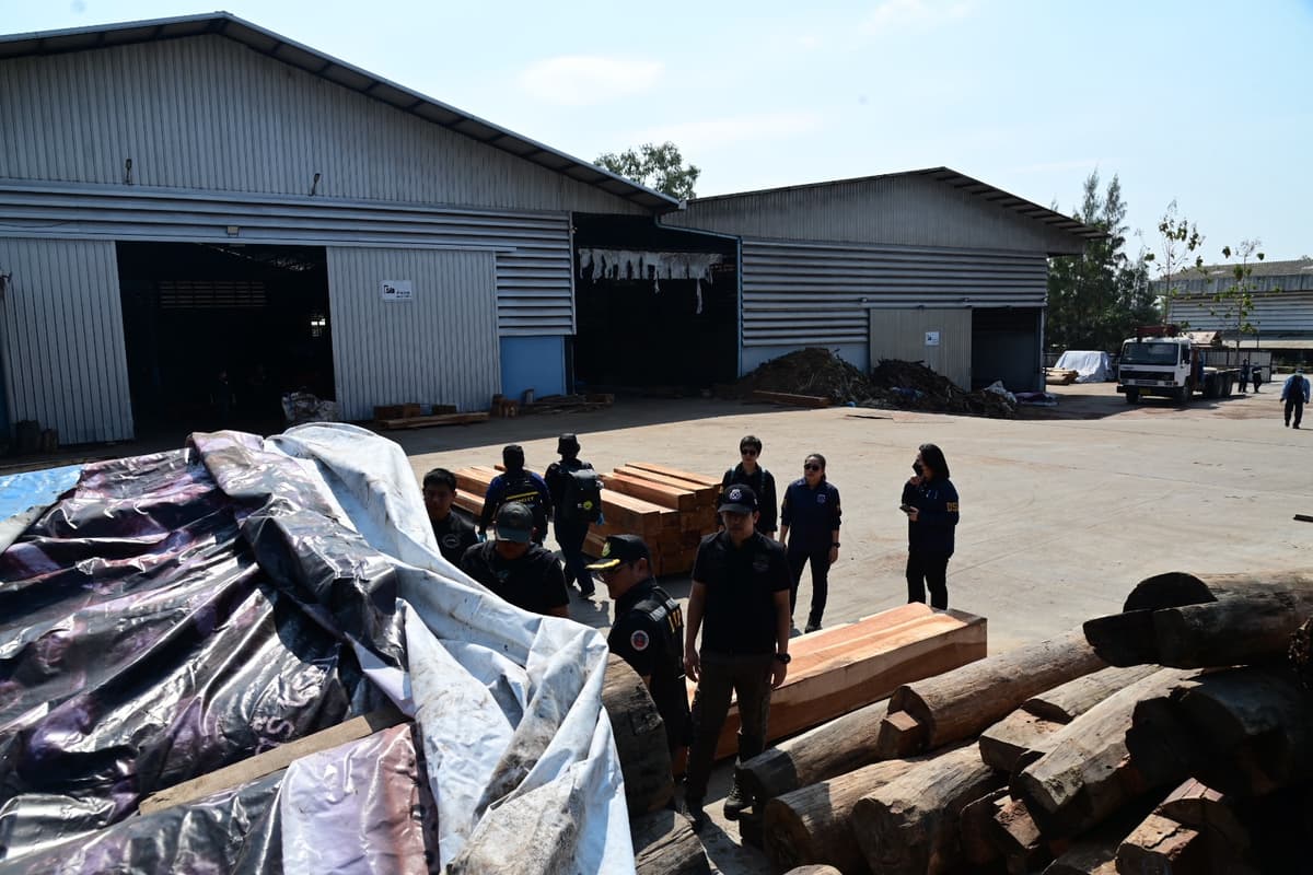 จับแก๊งค้าไม้เถื่อนมูลค่า 2,500 ล้าน เตรียมส่งออกขายจีน-เวียดนาม