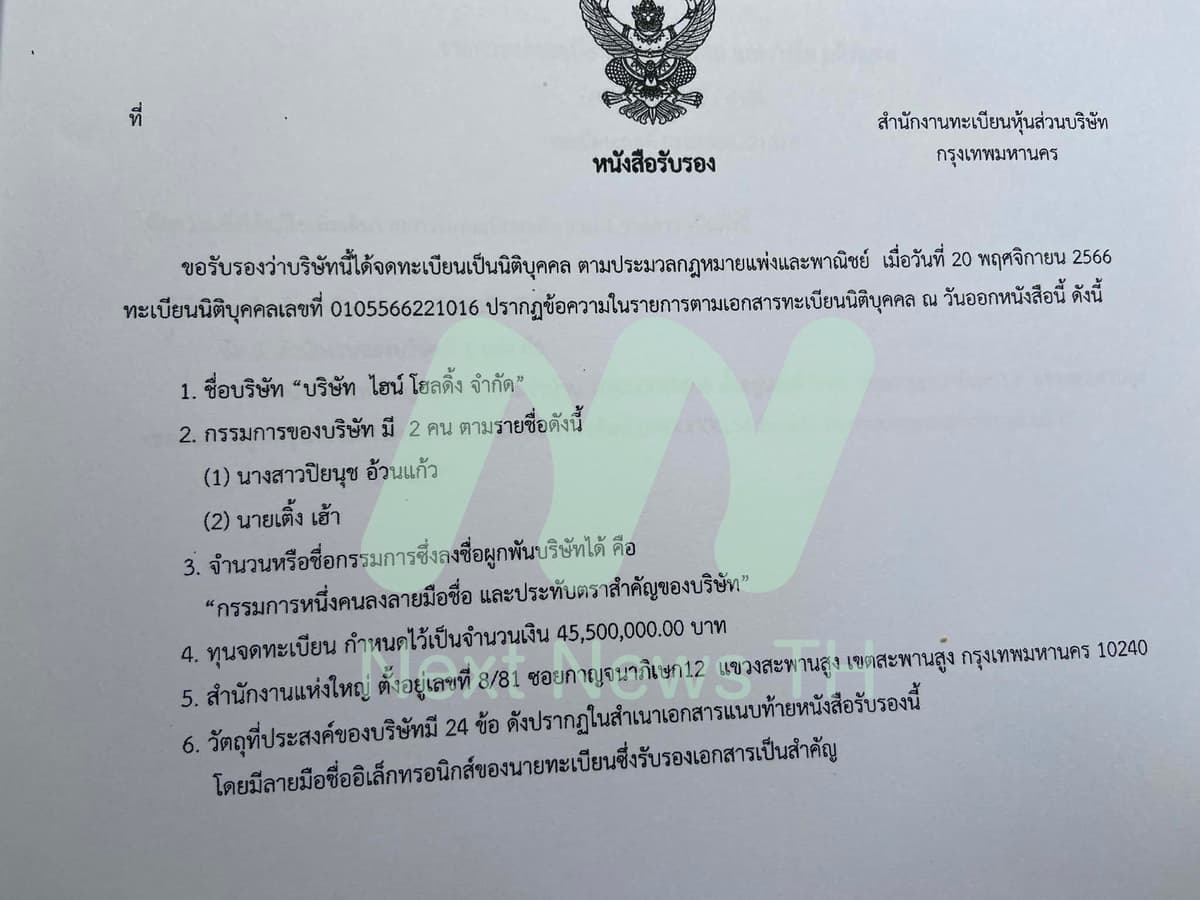 บ. ไฮน์ โฮลดิ้ง จำกัด