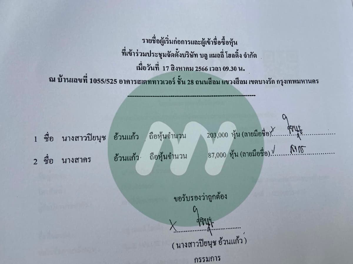 บริษัท บลู แมลลี่ โฮลดิ้ง จำกัด