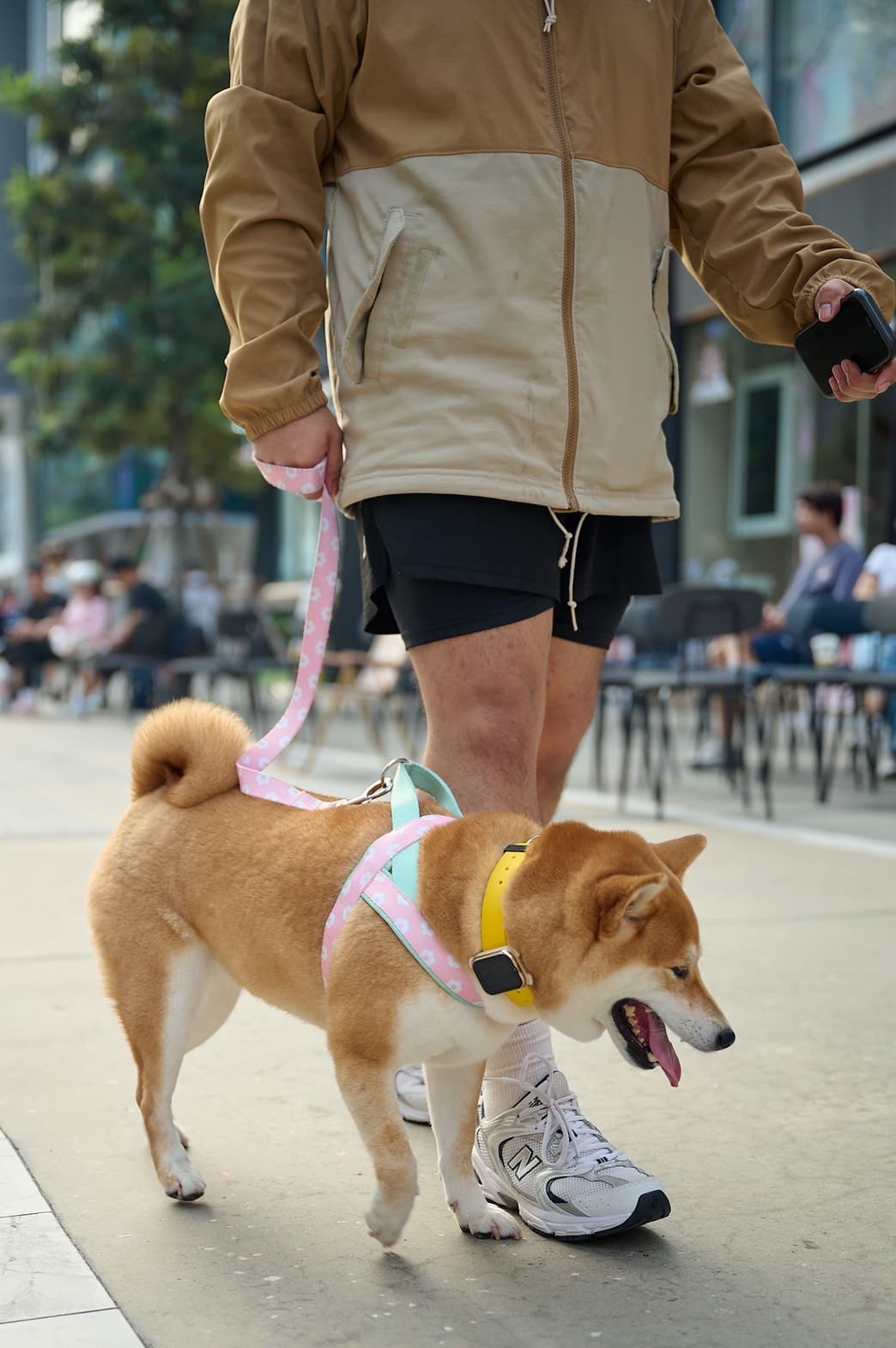 Pic 2 - AIS เปิดตัว “SMART Pets Phone”.jpg