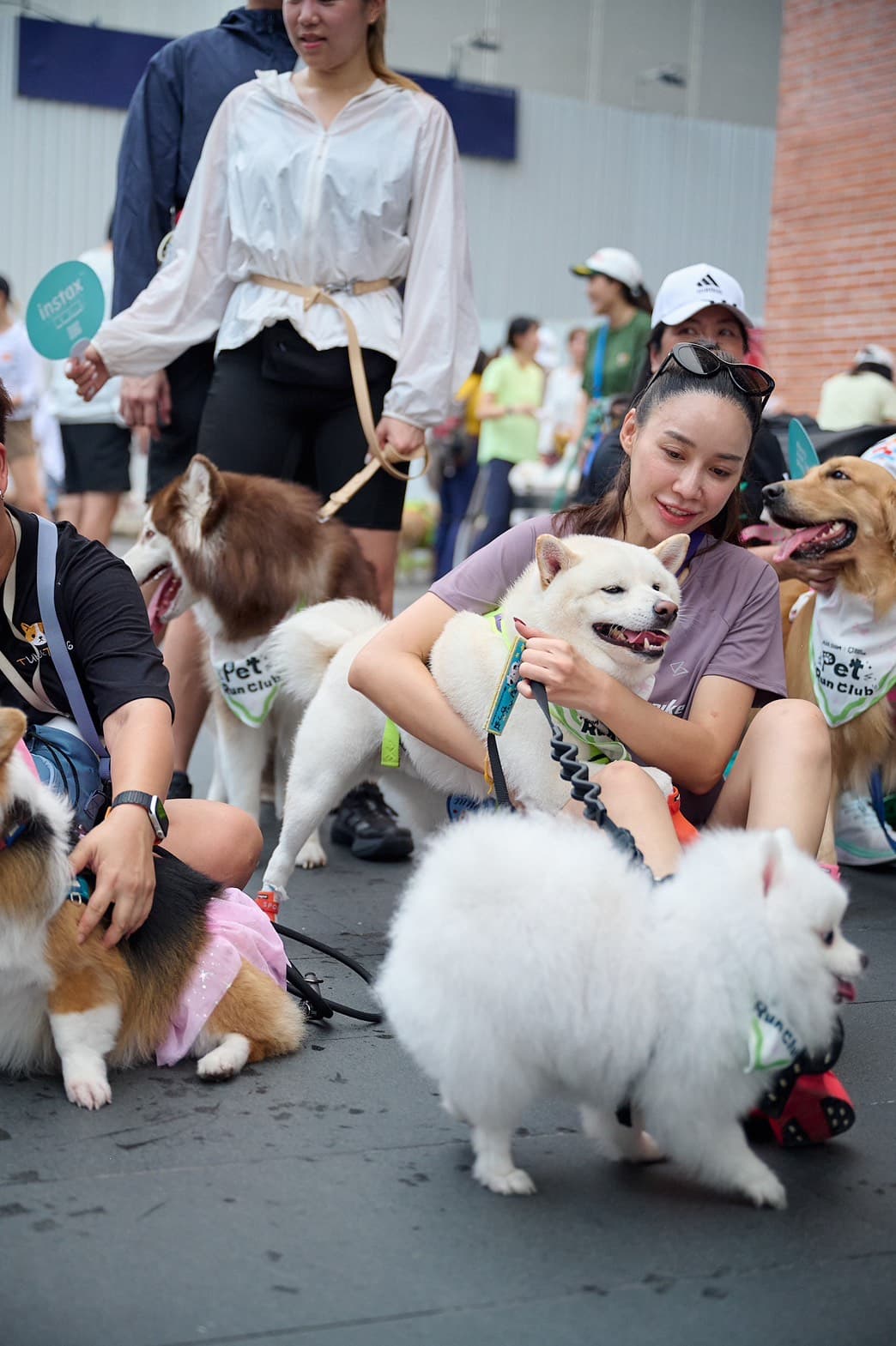 Pic 4 - AIS เปิดตัว “SMART Pets Phone”.jpg
