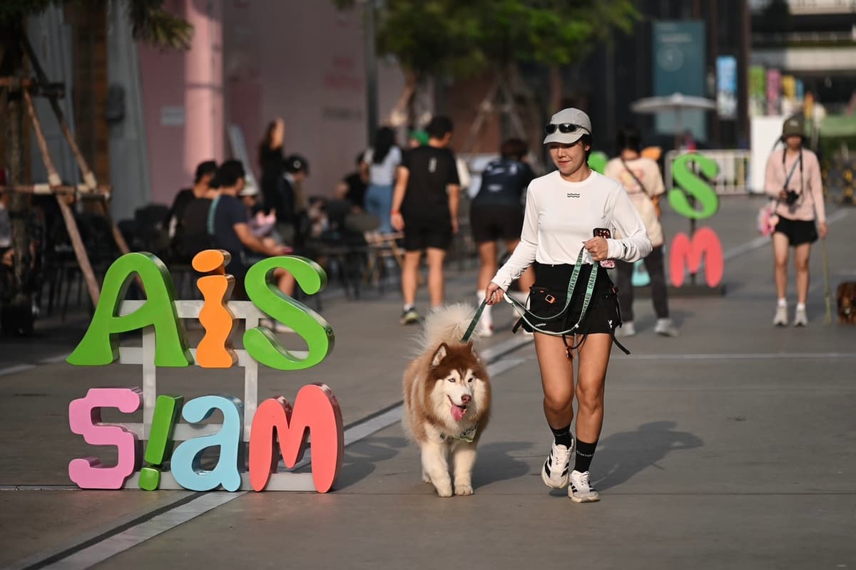 Pic 6 - AIS เปิดตัว “SMART Pets Phone”.jpg