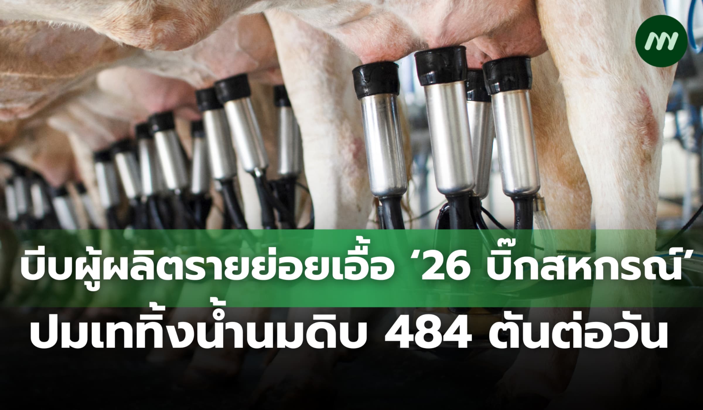 บีบผู้ผลิตรายย่อย เอื้อ '26 สหกรณ์ขาใหญ่' ปมเททิ้งน้ำนมดิบ 484 ตัน/วัน