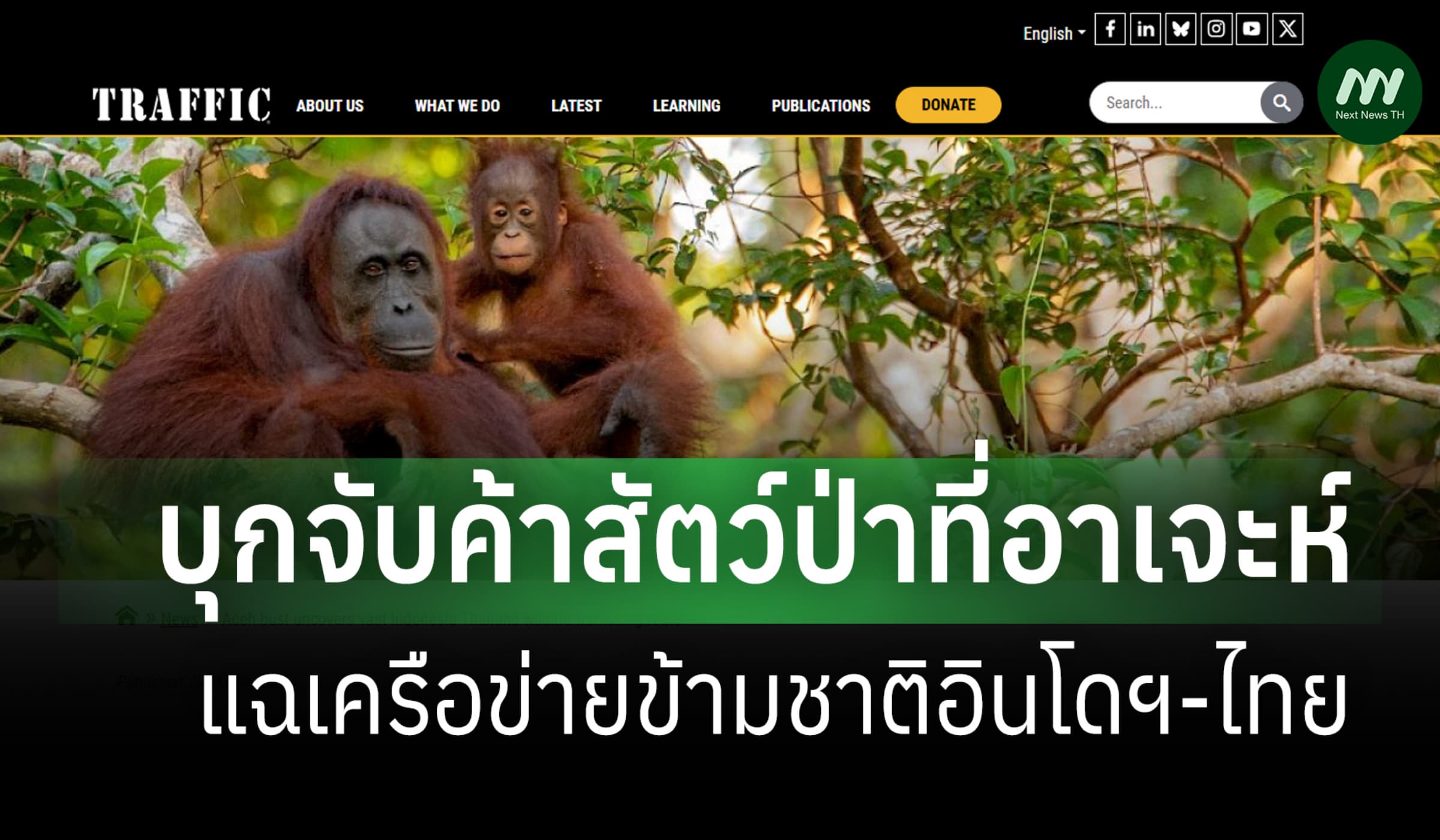 NGO ตีข่าว อินโดฯจับใหญ่ในอาเจะห์ แฉค้าสัตว์ป่าข้ามชาติโยงขบวนการในไทย