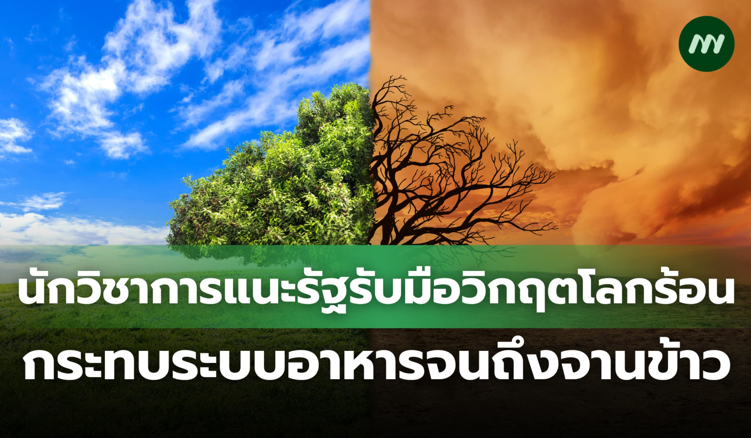 นักวิชาการแนะรัฐรับมือวิกฤตโลกร้อน กระทบระบบอาหารจนถึงจานข้าว