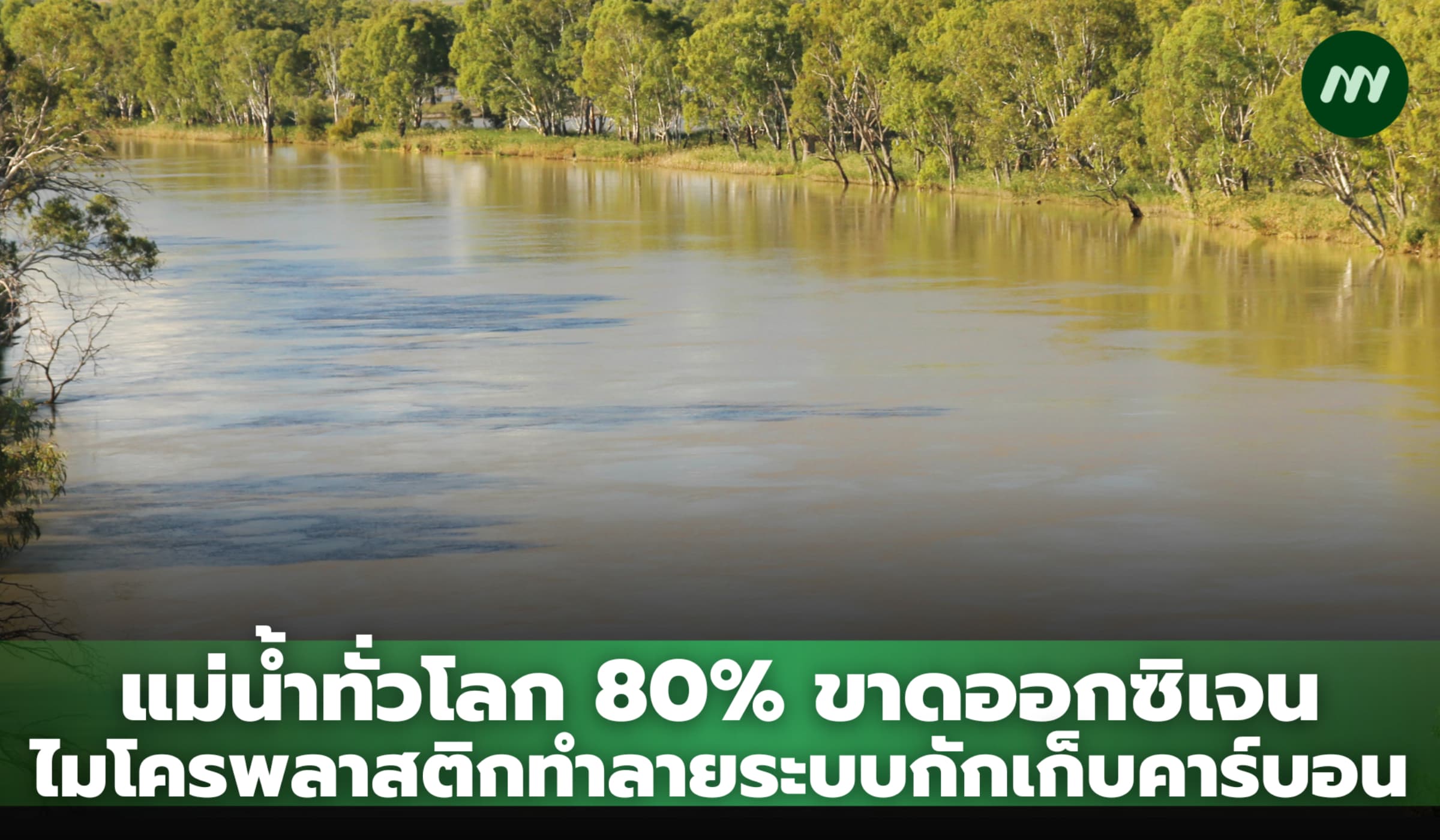 แม่น้ำทั่วโลก 80% ขาดออกซิเจน-ไมโครพลาสติกทำลายระบบกักเก็บคาร์บอน