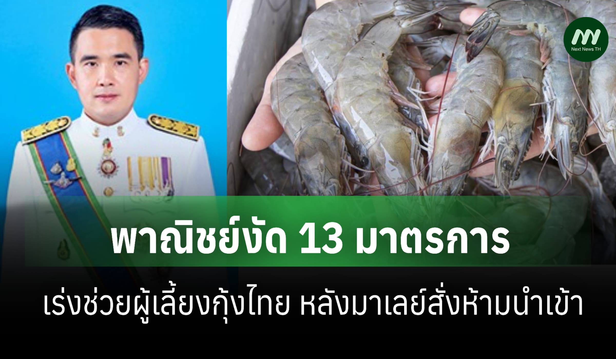 พาณิชย์งัด 13 มาตรการเร่งช่วยผู้เลี้ยงกุ้งไทย หลังมาเลย์สั่งห้ามนำเข้า