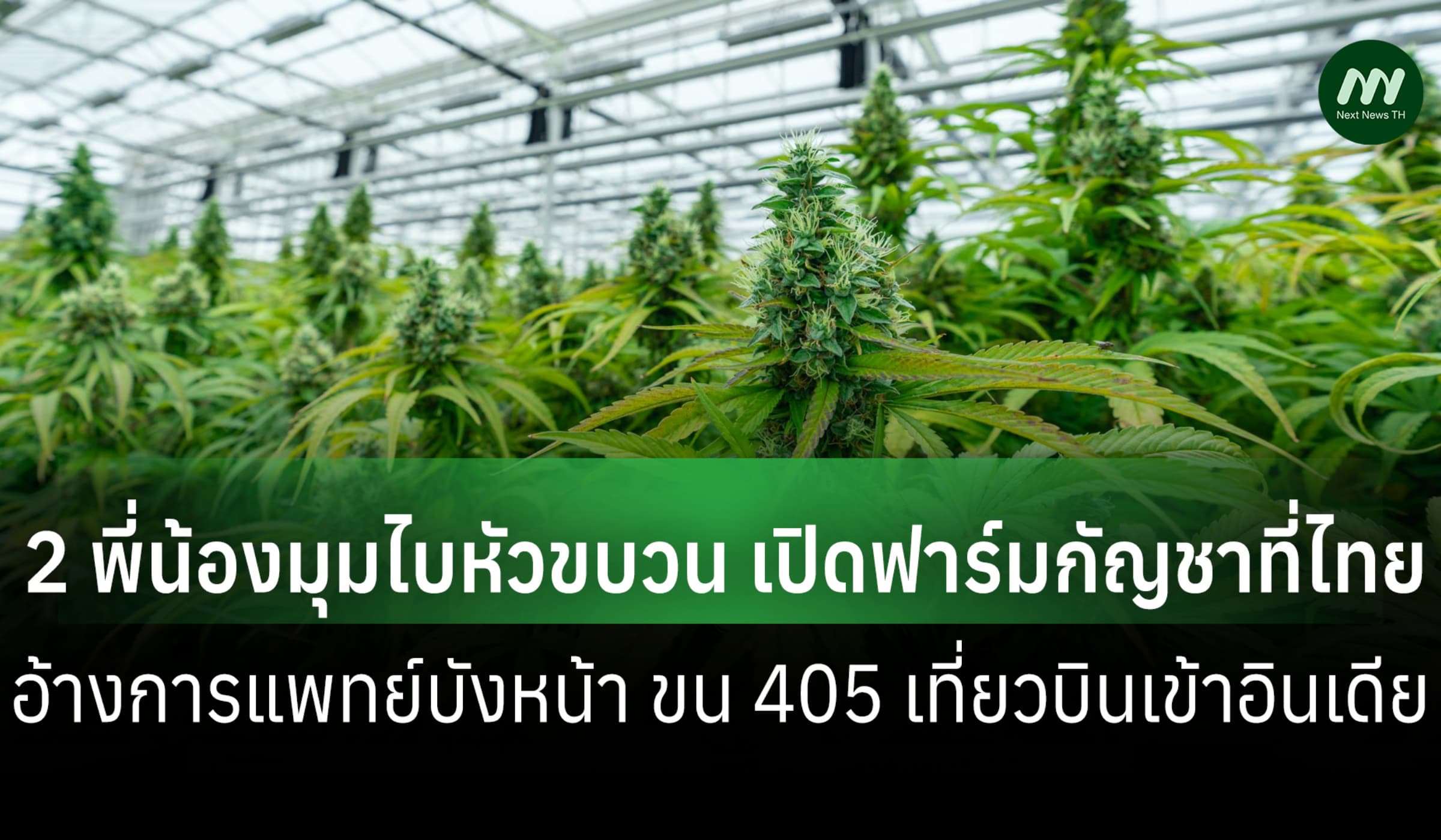 2 พี่น้องมุมไบ เปิดฟาร์มกัญชาไทย อ้างการแพทย์บังหน้า ขนของเข้าอินเดีย