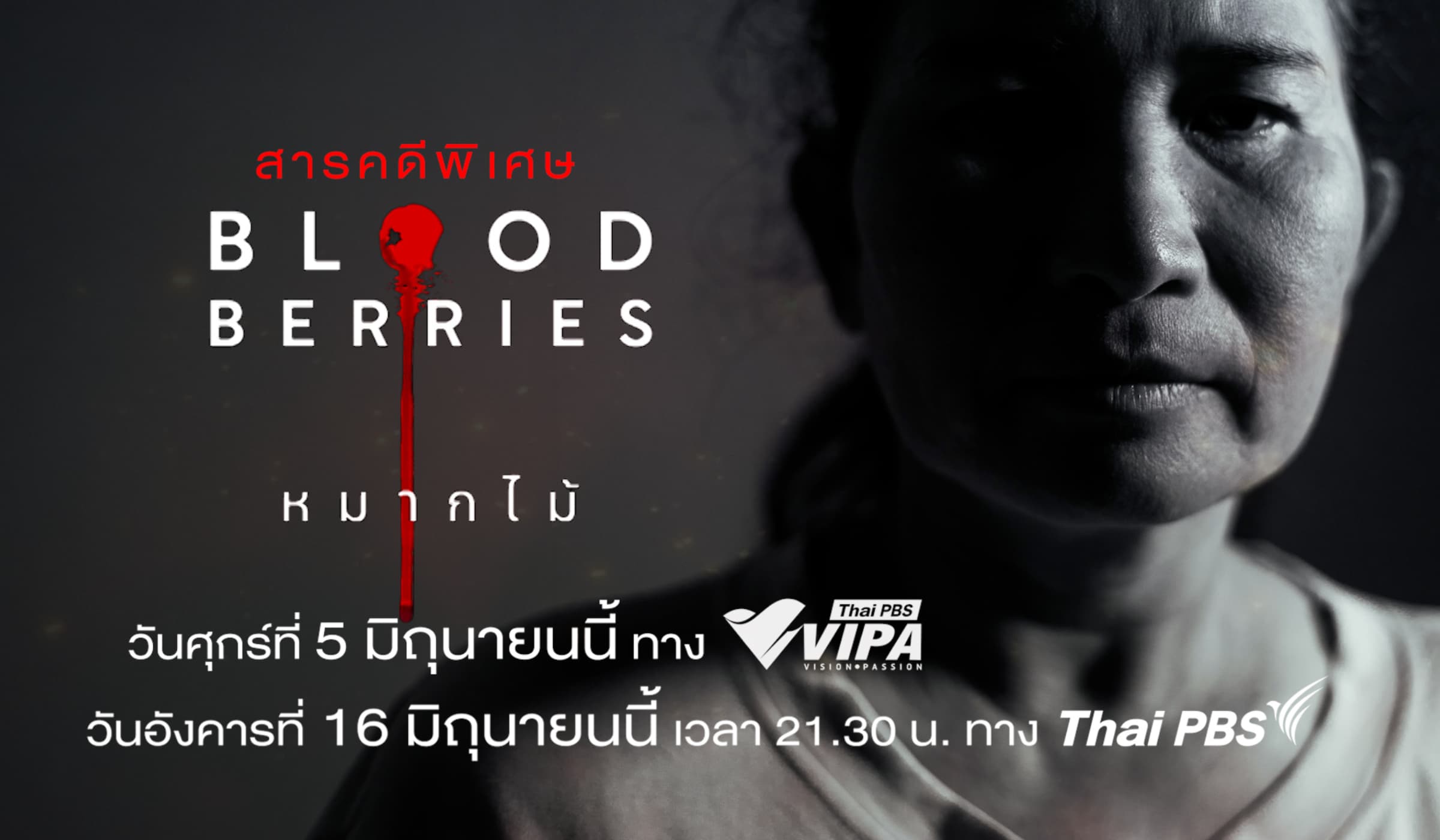 ไทยพีบีเอส ร่วมตีแผ่ขยายผลสารคดีรางวัลระดับนานาชาติ "Blood Berries"