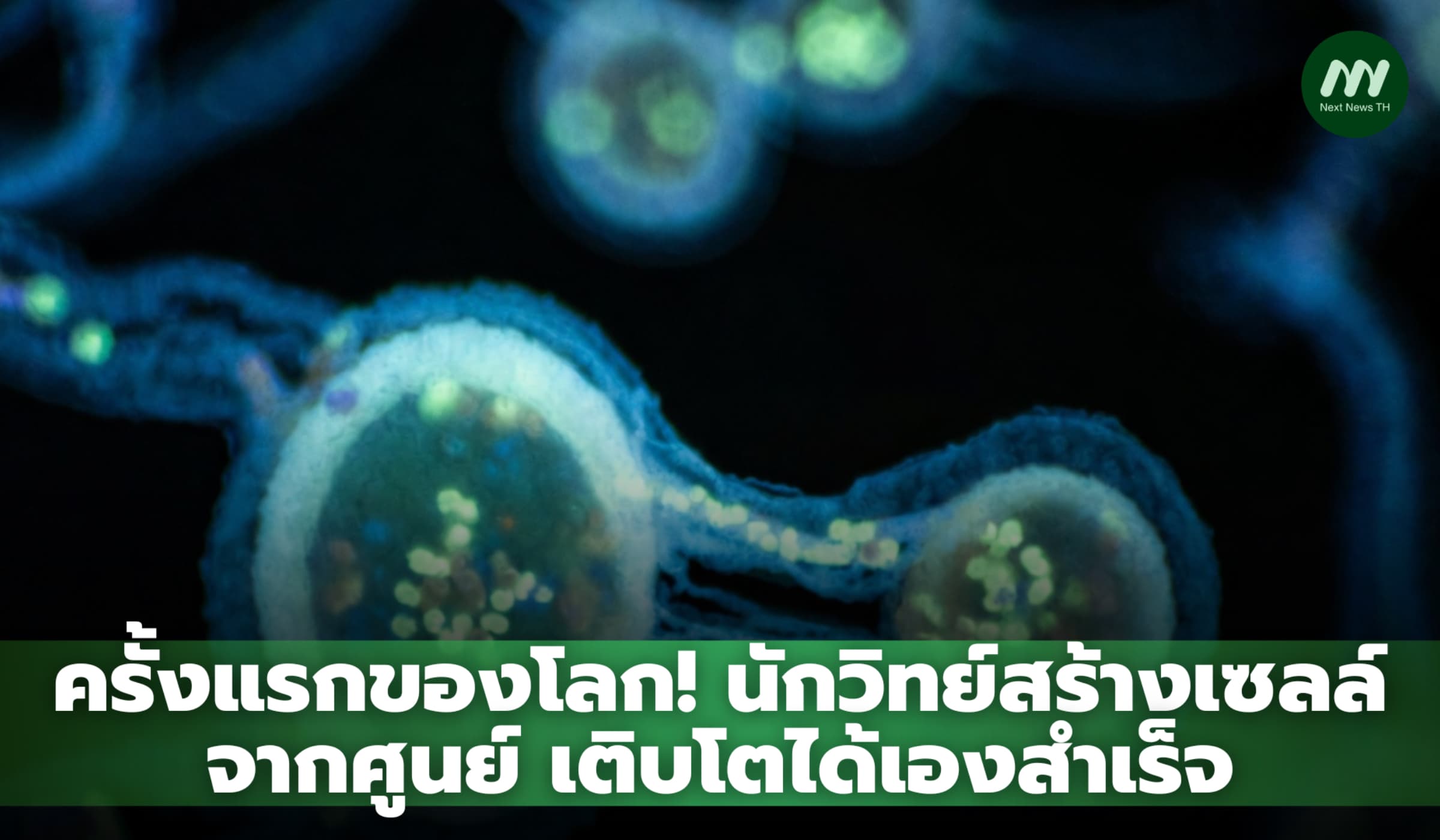 ครั้งแรกของโลก! นักวิทยาศาสตร์สร้างเซลล์จากศูนย์ เติบโตได้เอง