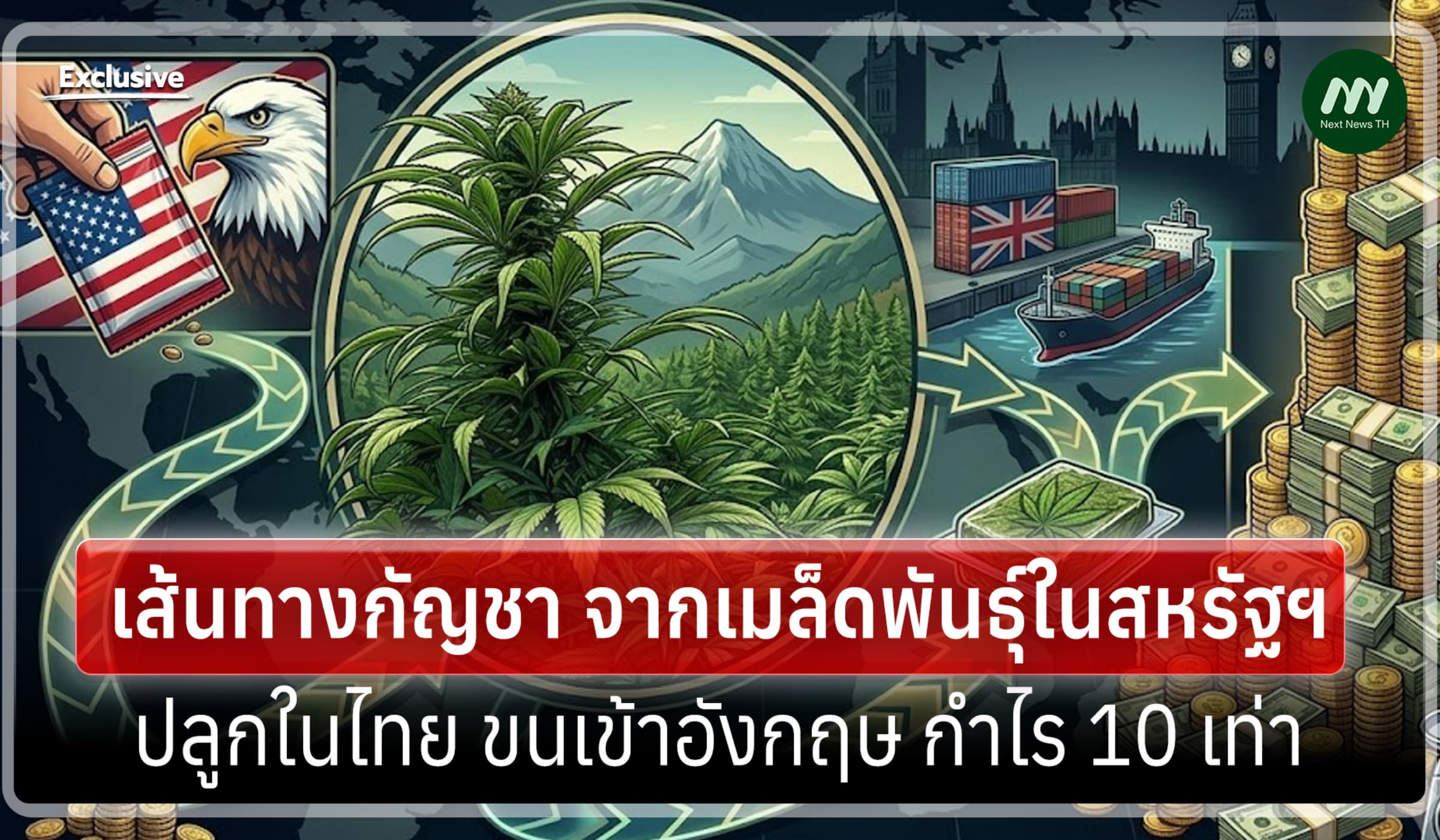 BBC :เส้นทางกัญชา เมล็ดพันธ์ุในสหรัฐฯ สู่ไทย ขนเข้าอังกฤษ กำไร 10 เท่า