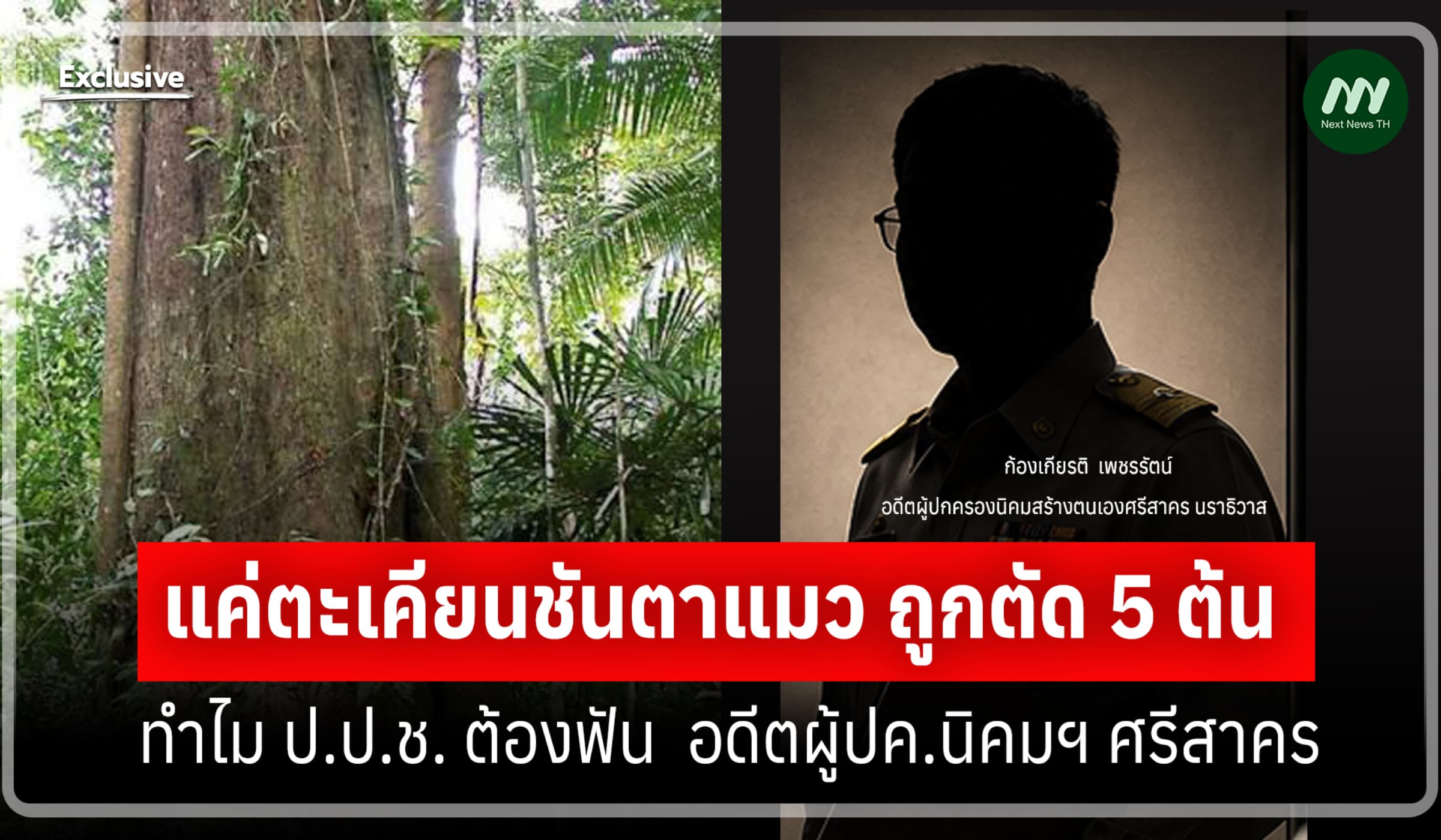ขมวดปม! แค่ตะเคียนชันตาแมวถูกตัด ทำไม ป.ป.ช.ฟันอดีตผู้ปค.นิคมฯ ศรีสาคร