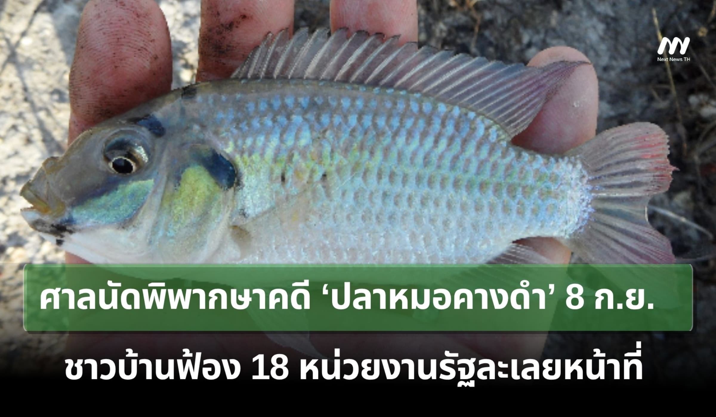 ศาลนัดพิพากษาคดี ‘ปลาหมอคางดำ’ 8 ก.ย. ชาวบ้านฟ้องรัฐละเลยหน้าที่