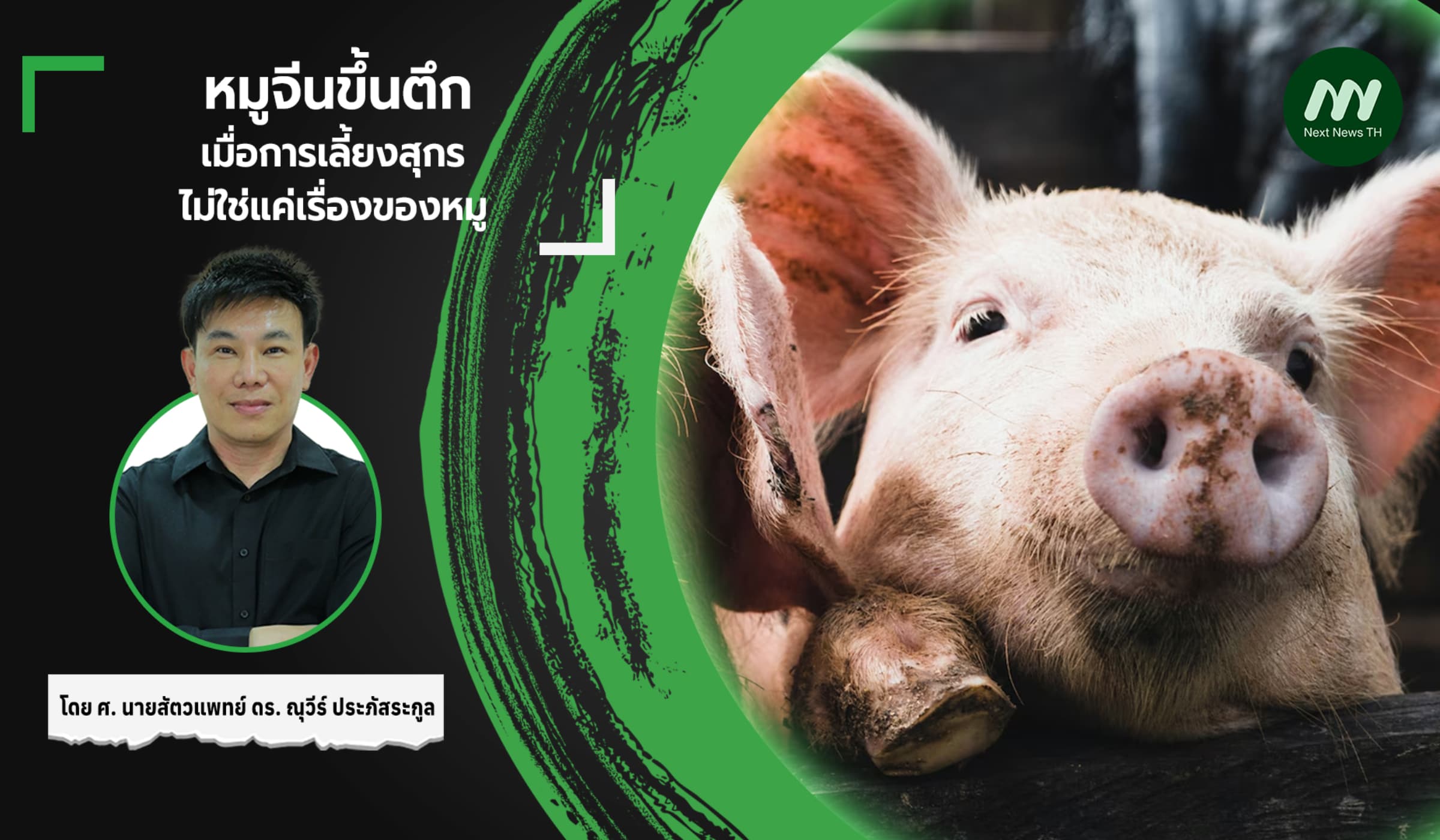 หมูจีนขึ้นตึก: เมื่อการเลี้ยงสุกรไม่ใช่แค่เรื่องของหมู