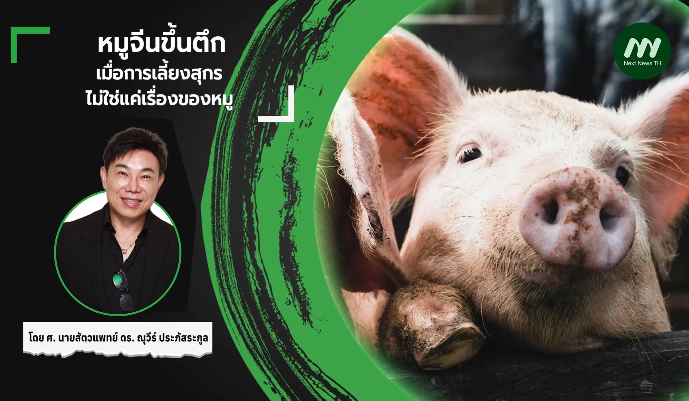 หมูจีนขึ้นตึก: เมื่อการเลี้ยงสุกรไม่ใช่แค่เรื่องของหมู