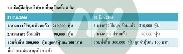 บริษัท เบบี้บลู โฮลดิ้ง จำกัด