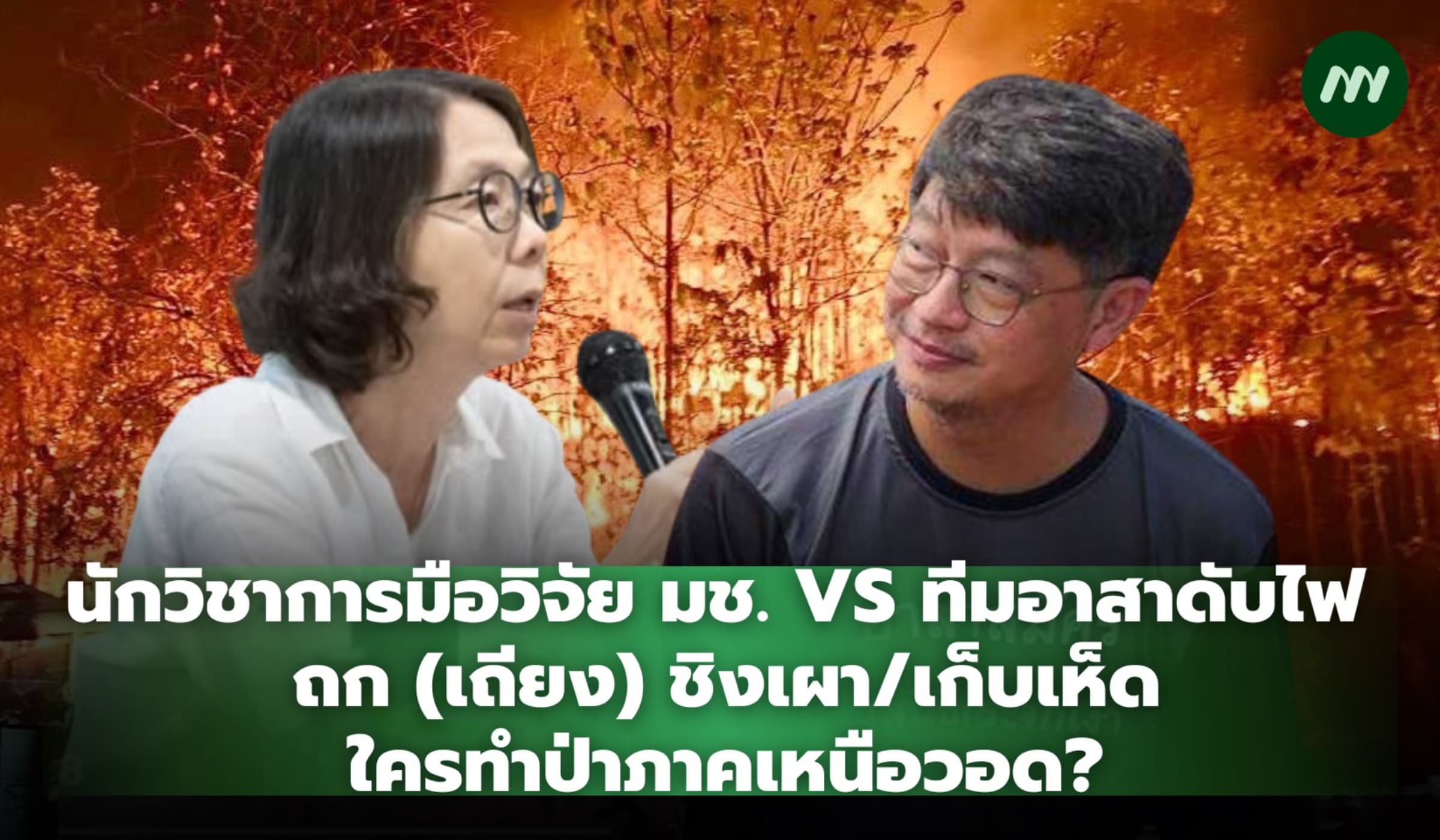 นักวิชาการ มช. VS ทีมอาสาดับไฟ ถกชิงเผา/เก็บเห็ด ใครผลาญป่าภาคเหนือ?