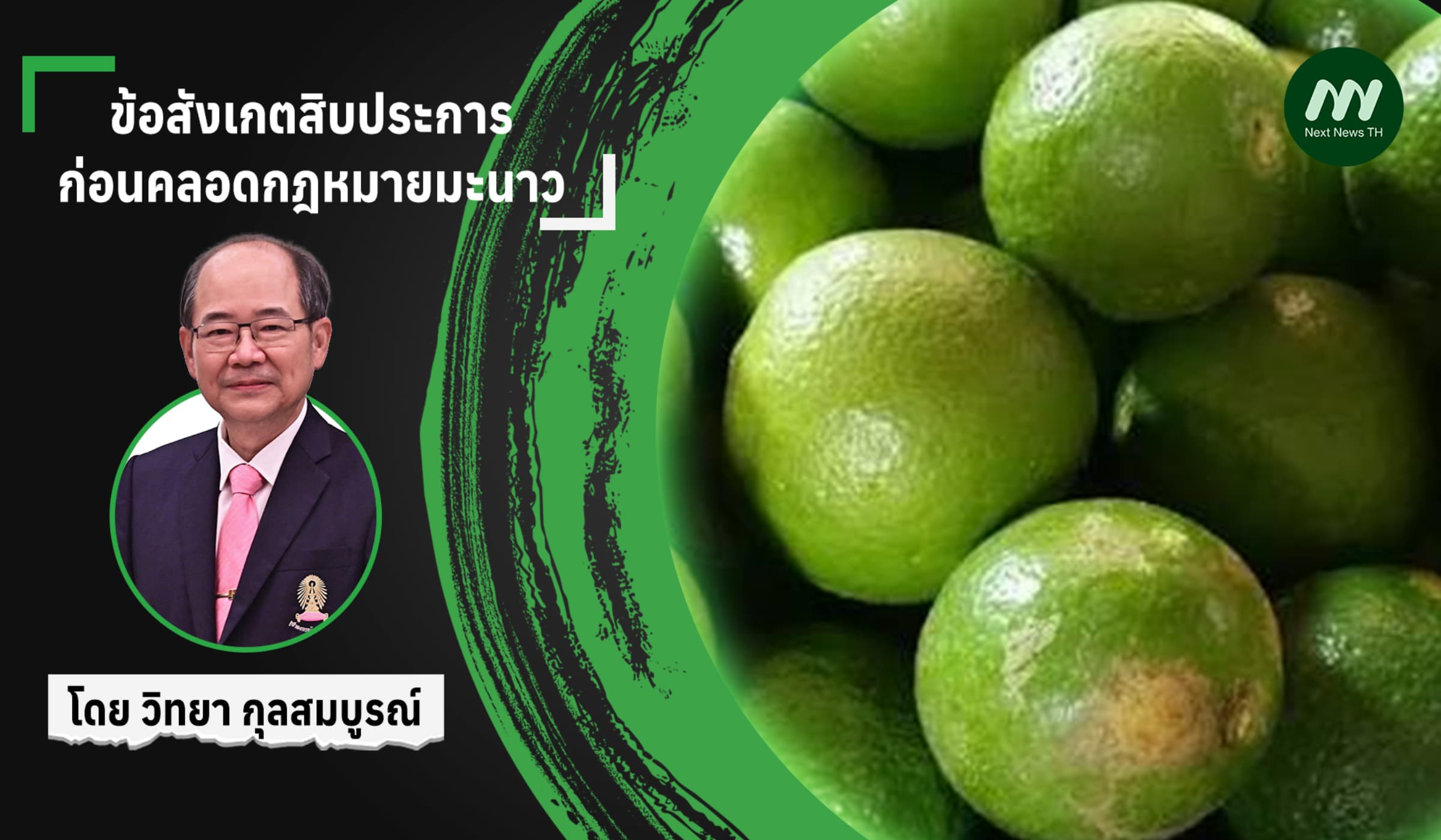 ข้อสังเกตสิบประการ : ก่อนคลอดกฎหมายมะนาว