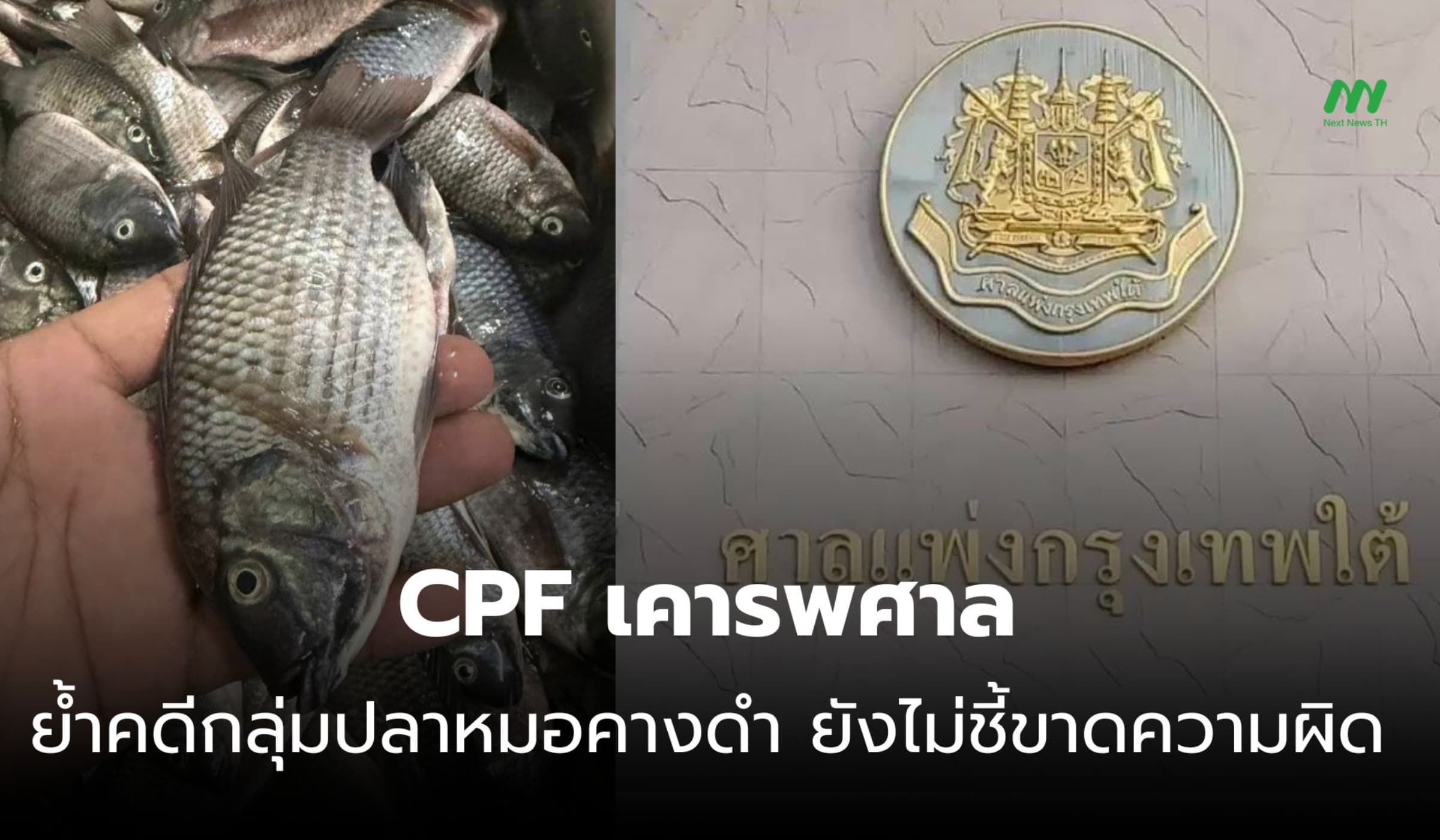 CPF เคารพศาล! ย้ำคดีกลุ่ม ‘ปลาหมอคางดำ’ ยังไม่ชี้ขาดความผิด