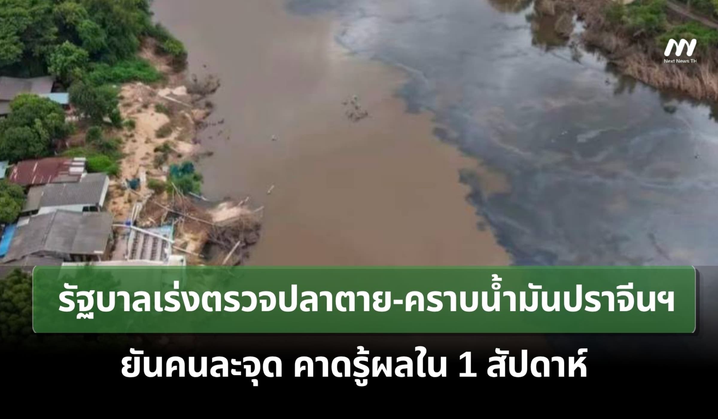 รัฐบาลเร่งตรวจปลาตาย-คราบน้ำมันปราจีนฯ ยันคนละจุด คาดรู้ผลใน 1 สัปดาห์